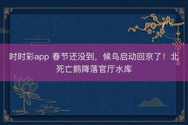 時時彩app 春節還沒到，候鳥啟動回京了！北死亡鵝降落官廳水庫