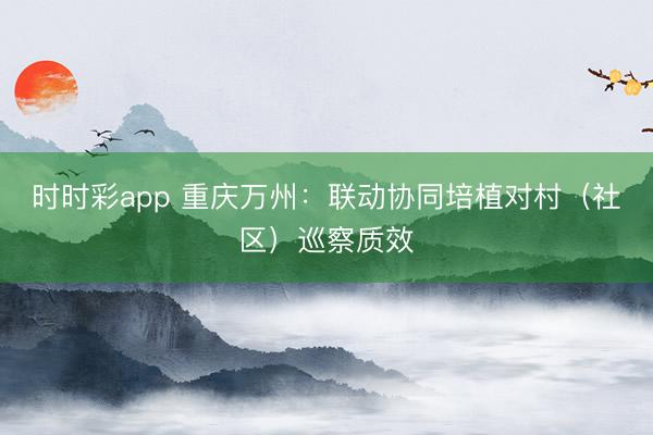 時時彩app 重慶萬州：聯(lián)動協(xié)同培植對村（社區(qū)）巡察質(zhì)效
