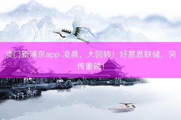 澳門新浦京app 凌晨，大回轉！好意思聯儲，突傳重磅！