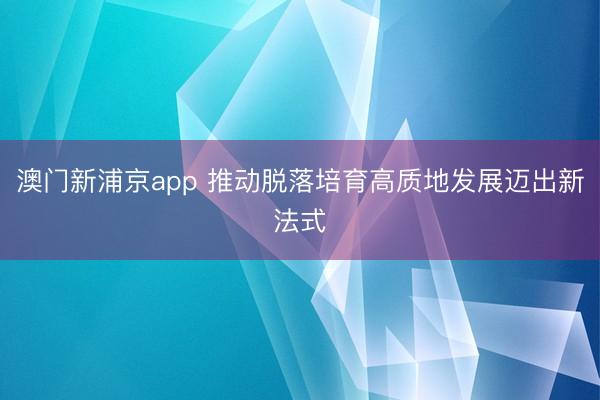 澳門新浦京app 推動脫落培育高質地發展邁出新法式