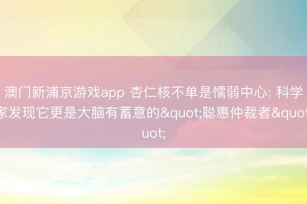 澳門新浦京游戲app 杏仁核不單是懦弱中心: 科學家發現它更是大腦有蓄意的"聰惠仲裁者"